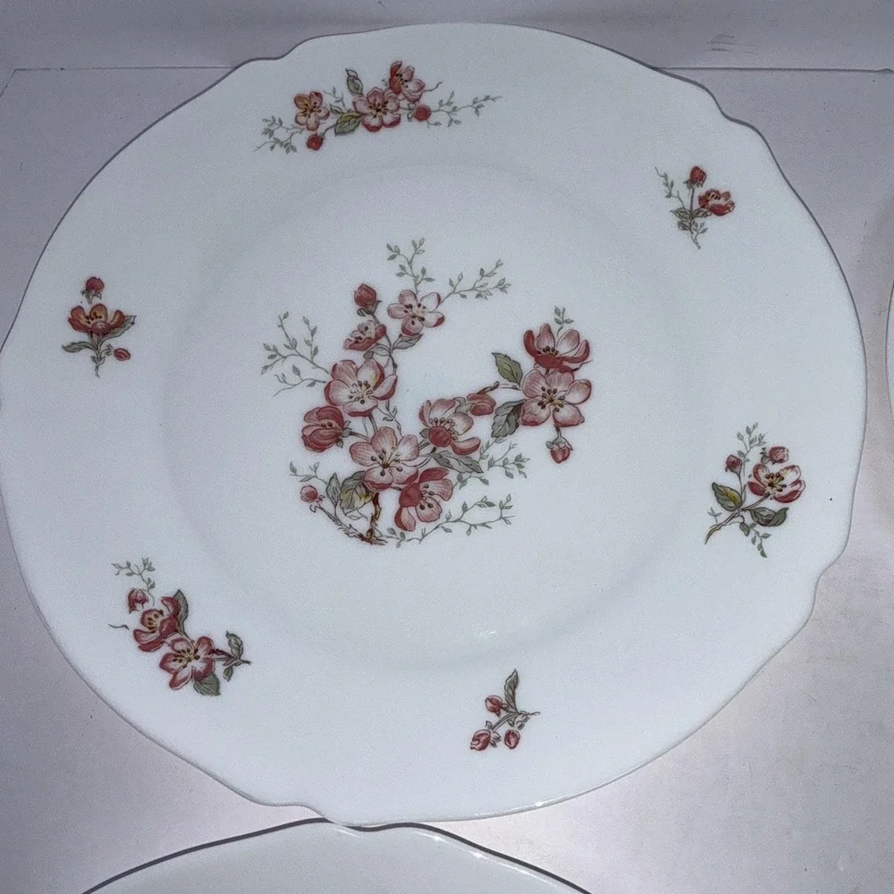 Lot 5 Vintage Arcopal France Florentine Cherry Blossom 10